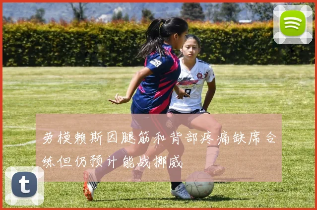 劳模赖斯因腿筋和背部疼痛缺席合练但仍预计能战挪威